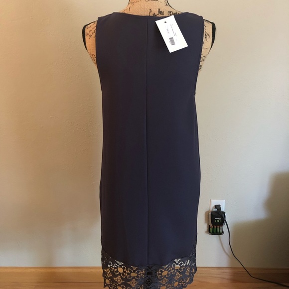NWT Everly Lace trim shift sleeveless dress sz M - Picture 4 of 6
